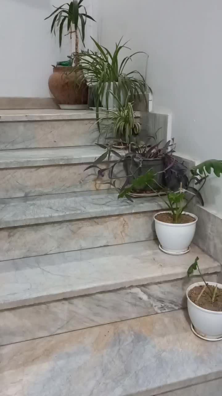 ۶۰ متر /دوخواب / فول بازسازی /عروسک /بدون خرج|فروش آپارتمان|تهران, آهنگران (سراسیاب دولاب)|دیوار