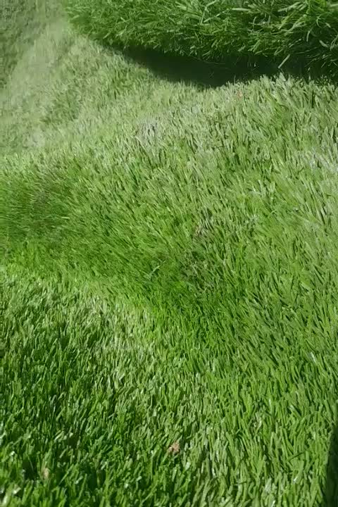 چمن مصنوعی عرض 2متر|مصالح و تجهیزات ساختمان|عباسآباد, |دیوار