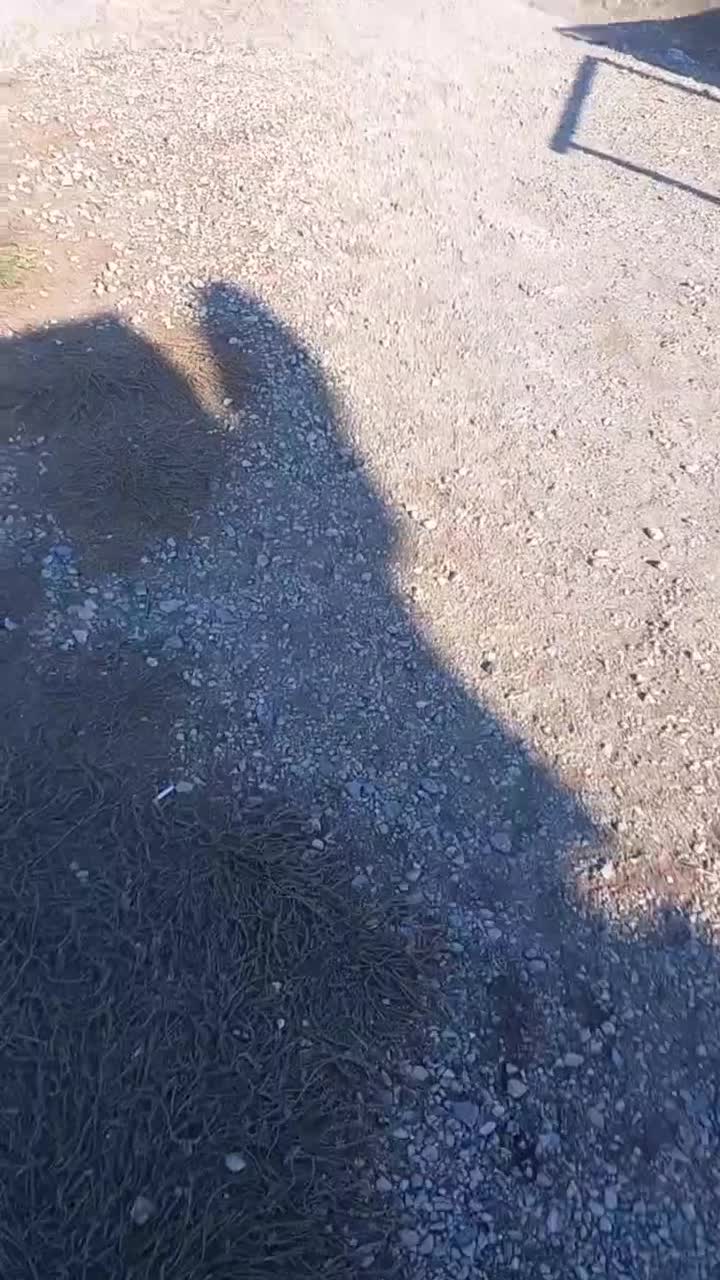 بنز تک باری مدل ۱۳۷۴ ایران|خودرو سنگین|ابهر, |دیوار