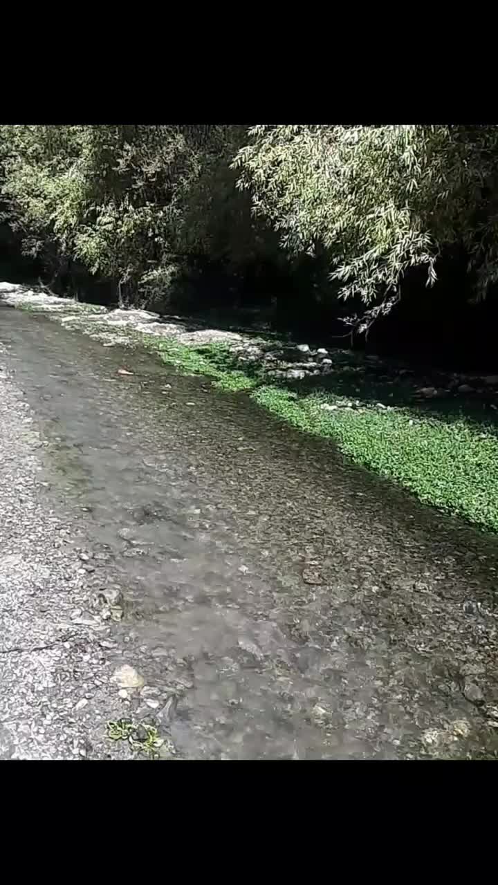 اجاره روزانه خانه باغ ویلایی|اجارهٔ کوتاهمدت ویلا و باغ|ملکشاهی, |دیوار