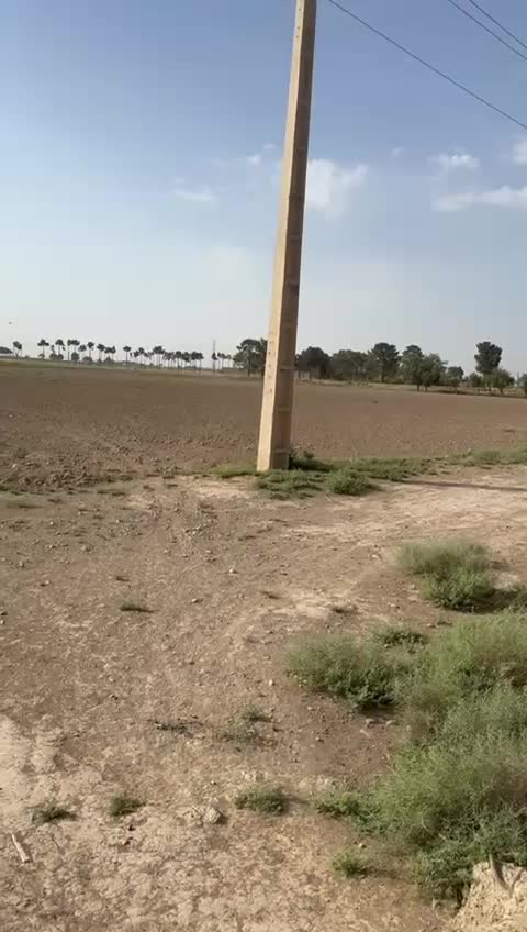 فروش زمین کشاورزی ۵۷۰۰ متری در ورامین (داوودآباد)|فروش دفتر صنعتی، کشاورزی، تجاری|قرچک, داوود آباد|دیوار