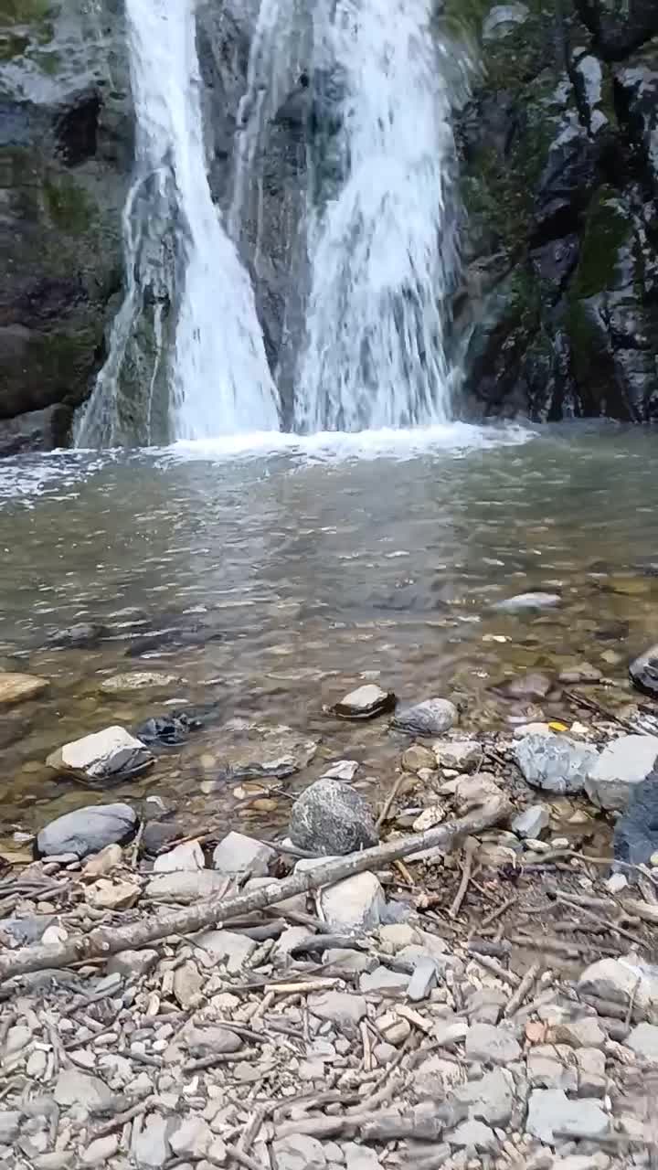 ویلا جنگلی در سراوان روستای کچا مستقیم از مالک|اجارهٔ کوتاه‌مدت ویلا و باغ|رشت, توشیبا|دیوار