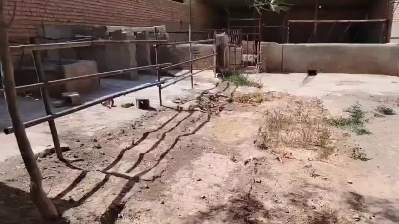 فروش ملک|فروش خانه و ویلا|بوژگان, |دیوار