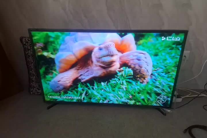 الجی ۴۳ اینچ دو گیرنده نوی نو|تلویزیون و پروژکتور|قوچان, |دیوار