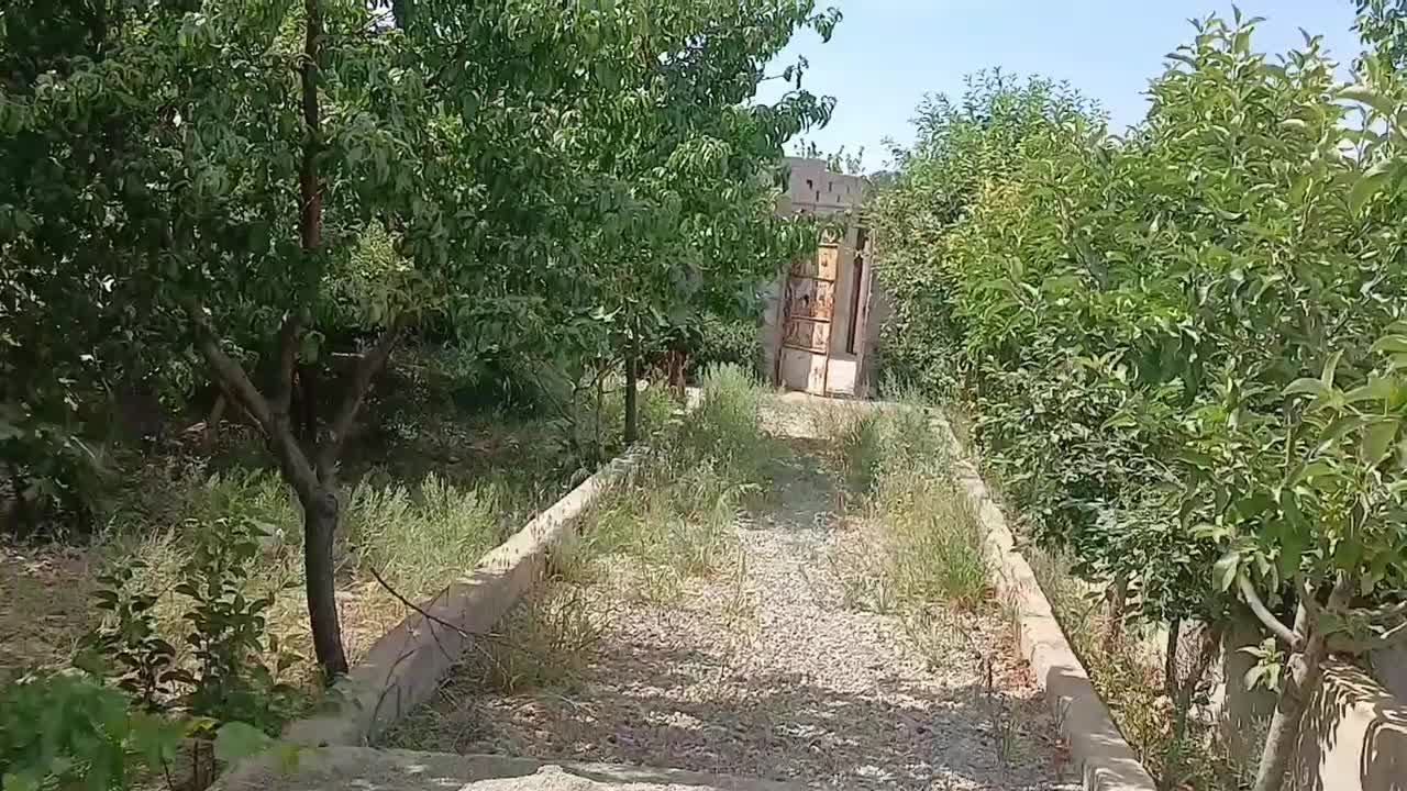 باغچه نقلی ۵۰درخت میوه شهرک سازی معاوضهباماشی|فروش زمین و ملک کلنگی|ملارد, |دیوار