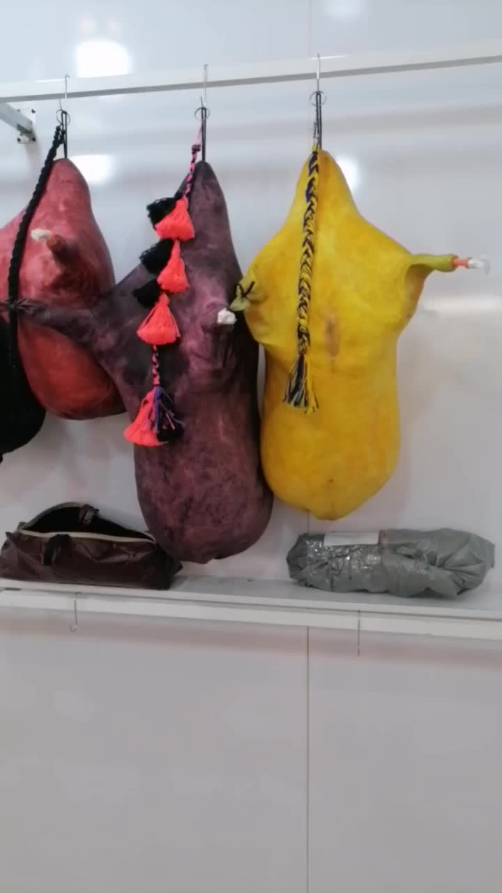 افر روز 6تا انبان|سازهای بادی|شیراز, سینما سعدی|دیوار