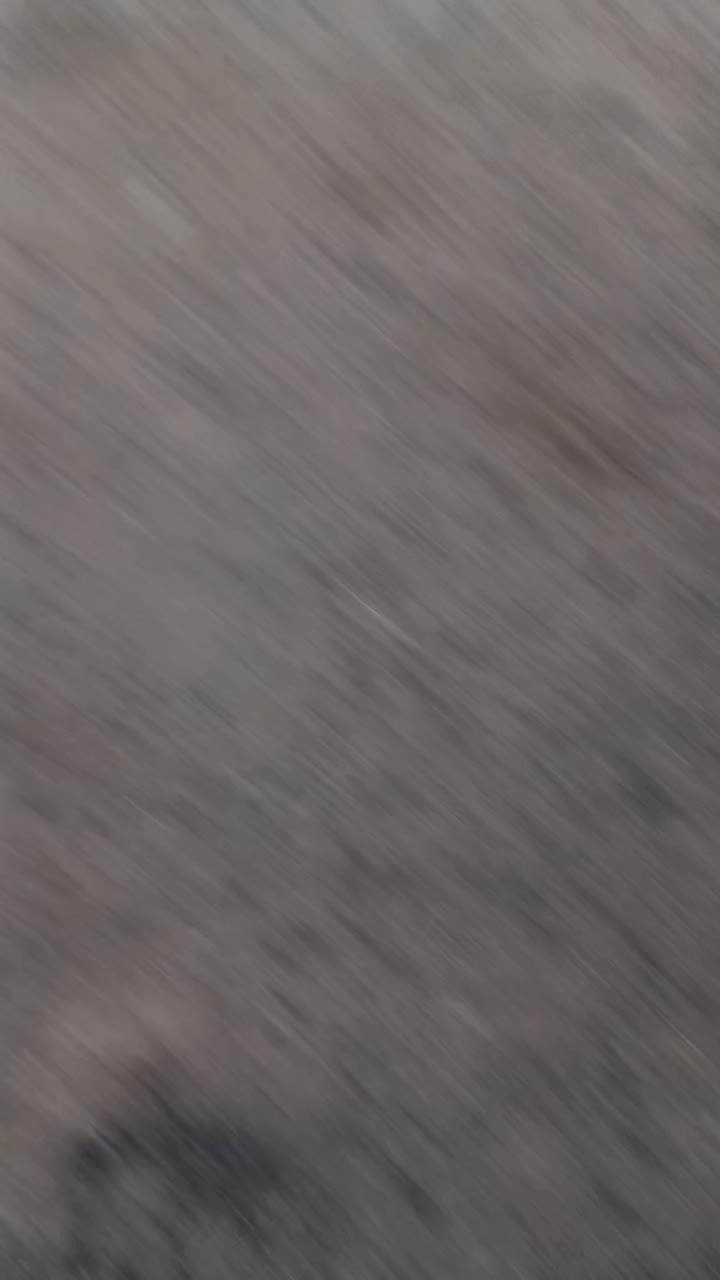 فروش سگ ماده الابای|سگ|پردیس, فاز ۶|دیوار