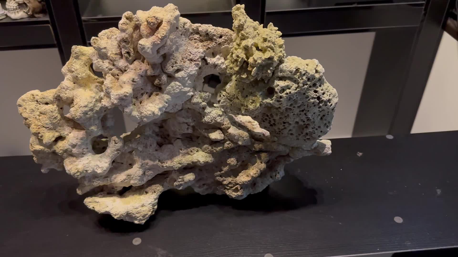 لایوراک|ماهی|تهران, آسمان|دیوار