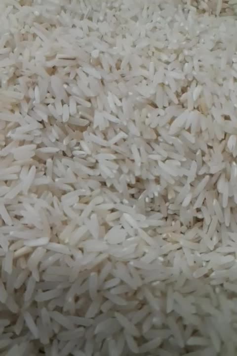 برنج هاشمی به شرط پخت عالی|خوردنی و آشامیدنی|محمدشهر, کوی بهار|دیوار