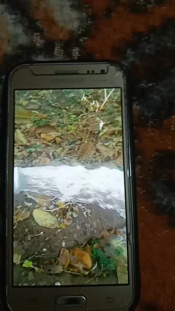 چاه کنی و بیل کاری|خدمات پیشه و مهارت|آذرشهر, |دیوار