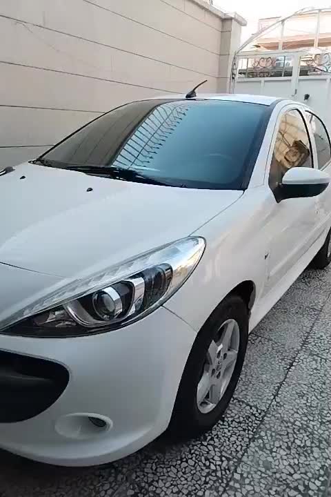 207 مدل 96|خودرو سواری و وانت|برازجان, |دیوار