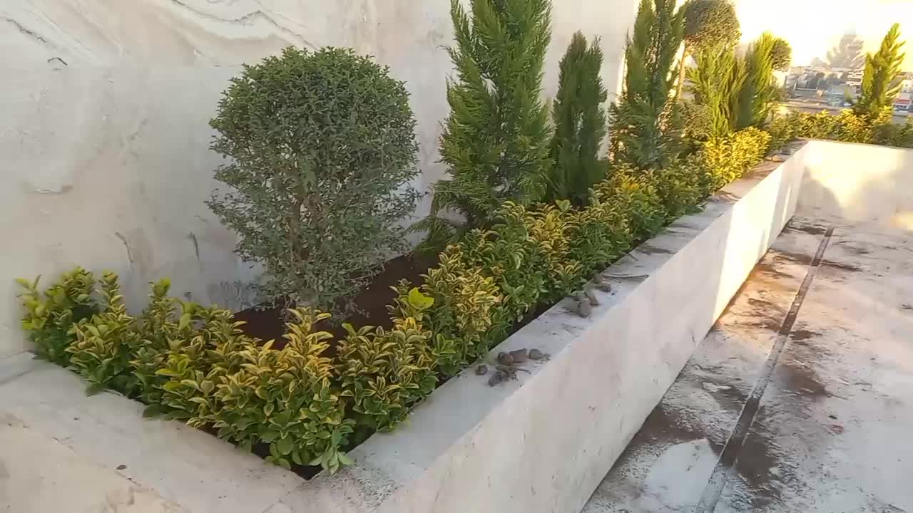 هرس باغبانی،گلکاری،نهال کاری،گل کاری،حرس درخت|خدمات باغبانی و درختکاری|مشهد, دوست آباد|دیوار