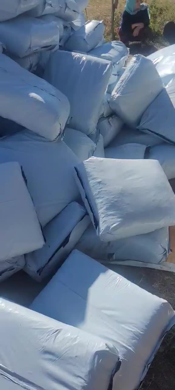 علوفه ذرت|حیوانات مزرعه|سردشت, |دیوار