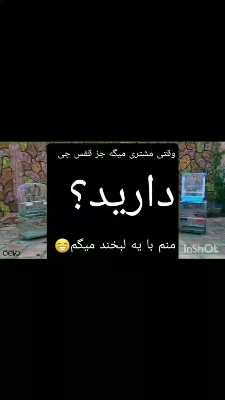 قفس پرنده و لوازم تولیدی ،عمده فروشی و پخش|لوازم جانبی حیوانات|ورامین, |دیوار