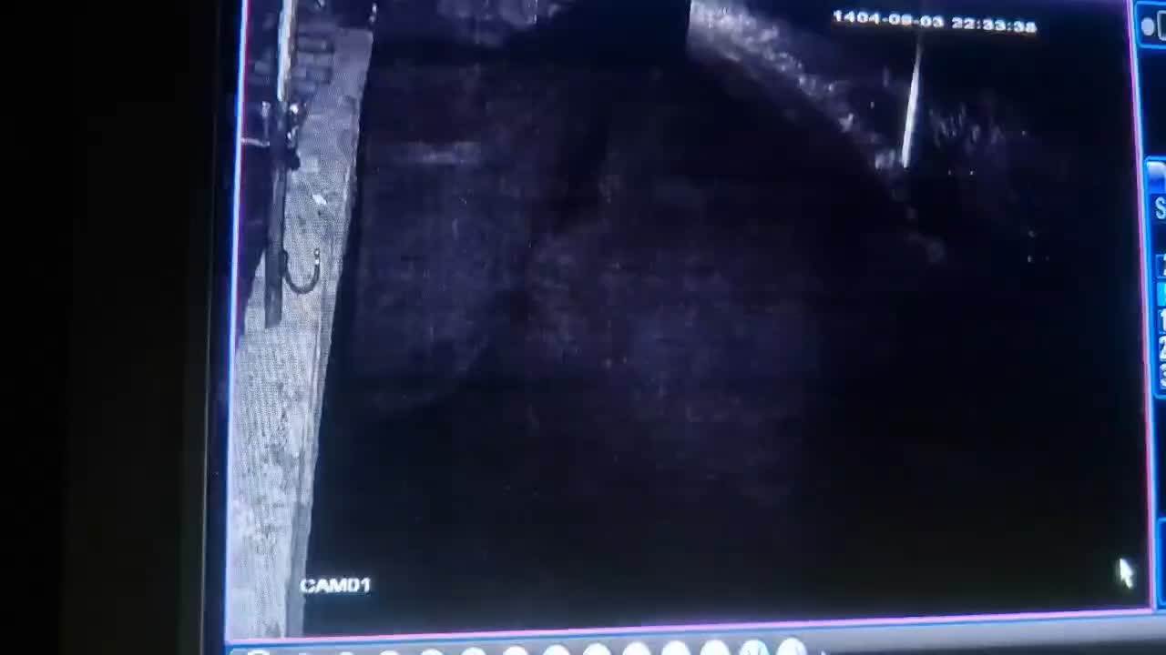 سگ عراقی از باغ دزدیده شده|حیوانات|ارومیه, |دیوار