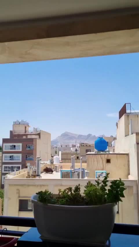 فروش واحد ۱۴۱ متری/پلاک دوم خیابان|فروش آپارتمان|اصفهان, آفاران|دیوار