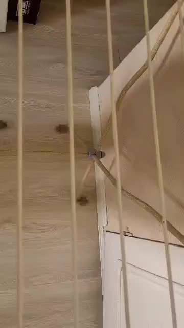 رخت آویز|بندرخت و رختآویز|قزوین, |دیوار