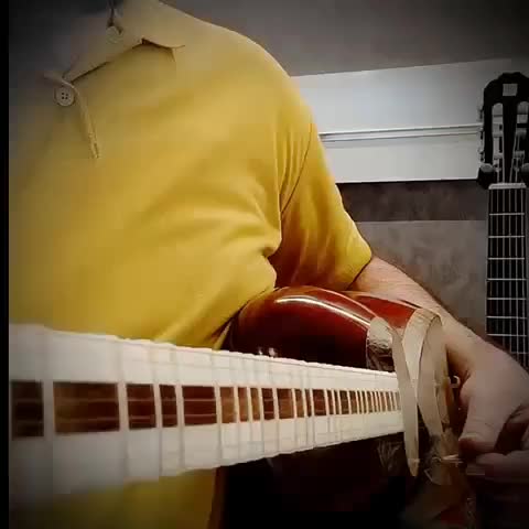 انواع تار|سازهای سنتی|اصفهان, شاهزید|دیوار