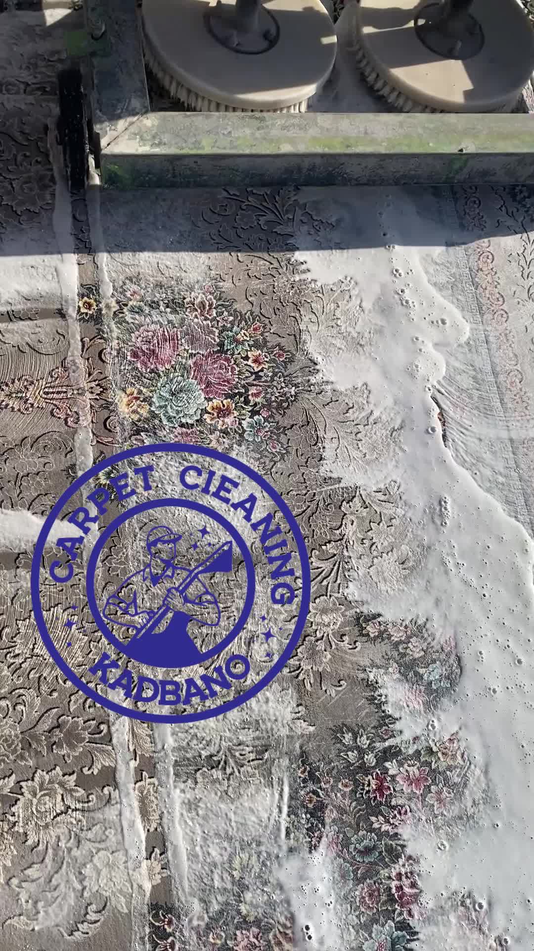 باما باشین قالیشوی با ۱۱ سال سابقه ی درخشان|خدمات نظافت|بیرجند, |دیوار