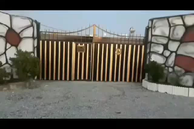 مجموعه guard dogs club توله های در عکس موجود هستن|سگ|ماهدشت, |دیوار