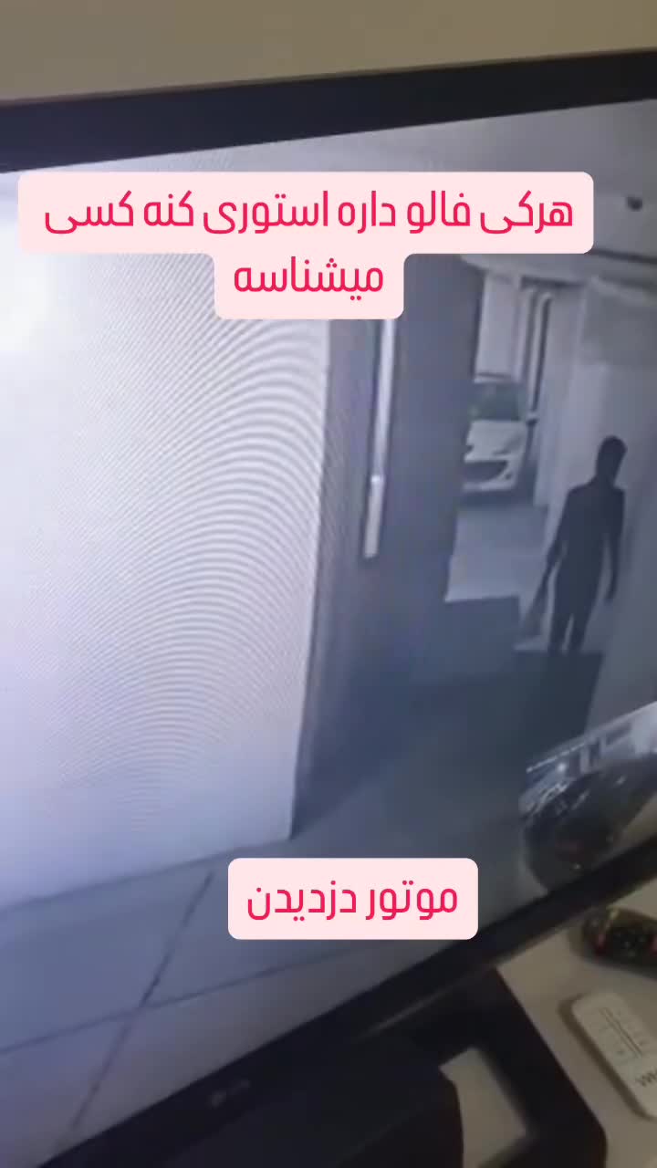 موتور سی جی گم شده|اشیا|بندرعباس, |دیوار