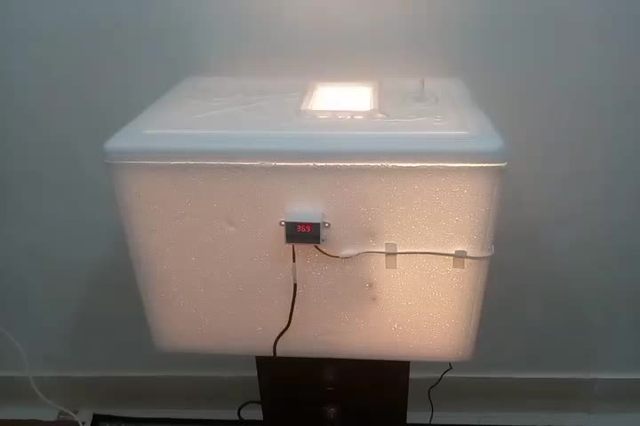 دستگاه جوجه کشی|لوازم جانبی حیوانات|پیرانشهر, |دیوار