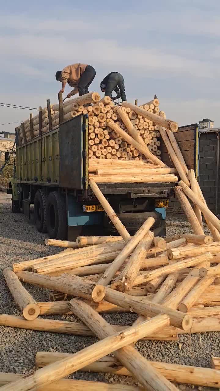 پوشال کولر آبی|عمدهفروشی|قرچک, ولی آباد|دیوار