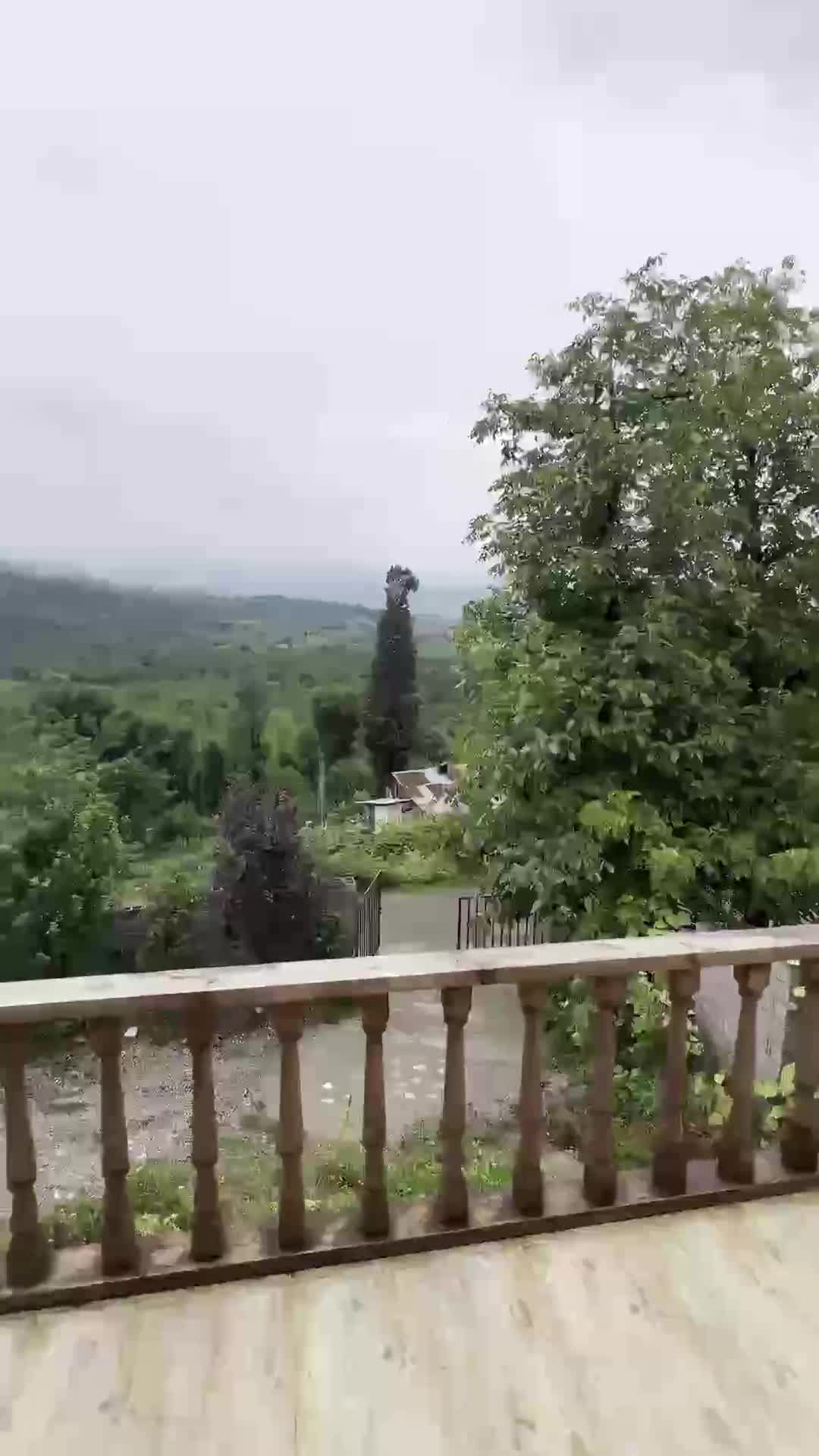 کلبه سوییسی ویو جنگلی|اجارهٔ کوتاه‌مدت ویلا و باغ|شفت, |دیوار