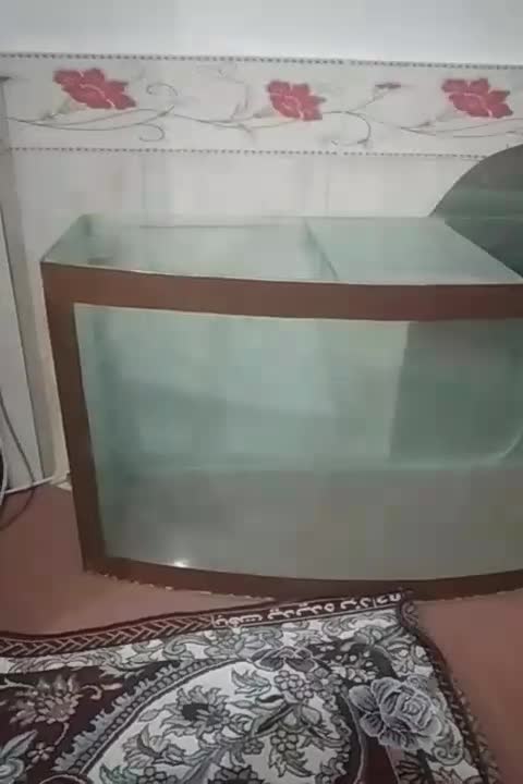 آکواریوم بزرگ شیشه ۶میل بادوام|ماهی|مراغه, |دیوار