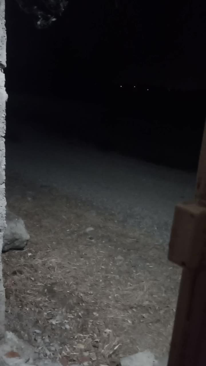 اجاره روزانه خانه ویلایی|اجارهٔ کوتاهمدت آپارتمان و سوئیت|پیربازار, |دیوار