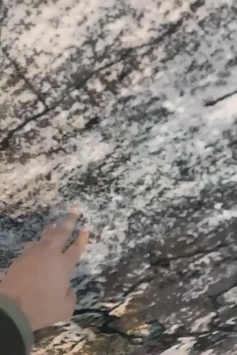 قالیچه فرش ۱۵۳۸ اسپرت پتینه|فرش|مشهد, توس (بلوار توس)|دیوار