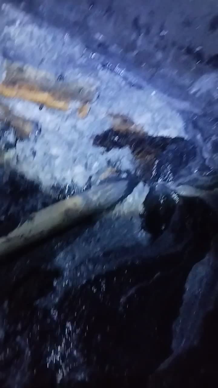 تخلیه چاه محمد شهر ولداباد اصفهایان حسن اباد|خدمات پیشه و مهارت|محمدشهر, سیدآباد|دیوار