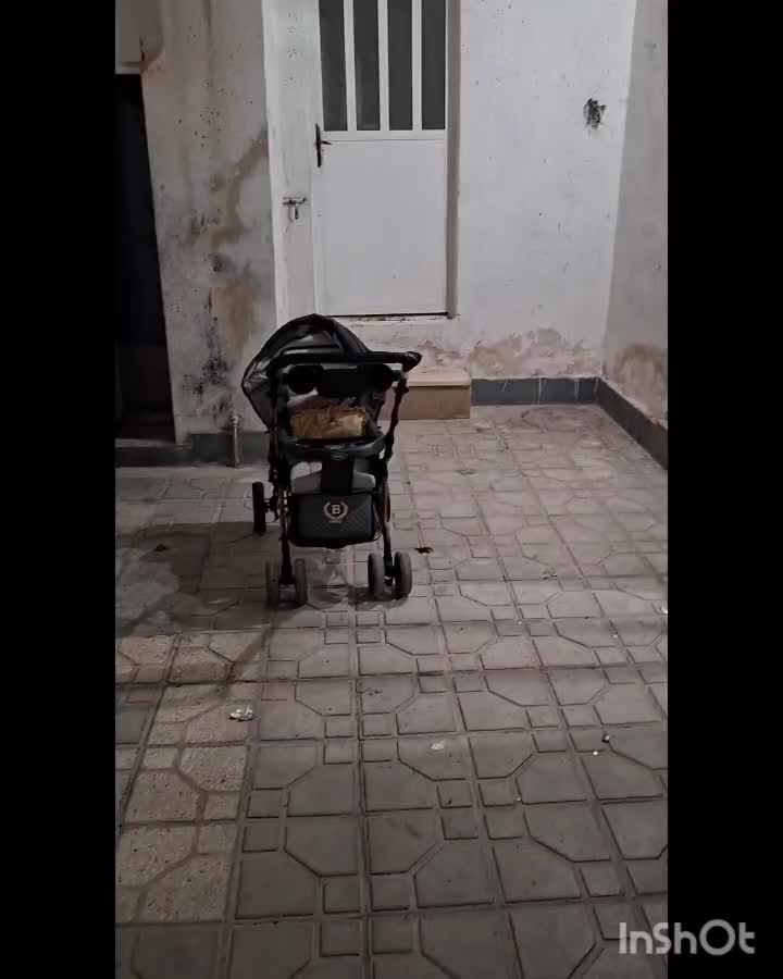 اجاره منزل خانه اجاره ای سعدی خانه فروشی سعدی|اجارهٔ خانه و ویلا|شیراز, شهدای شهرک سعدی|دیوار