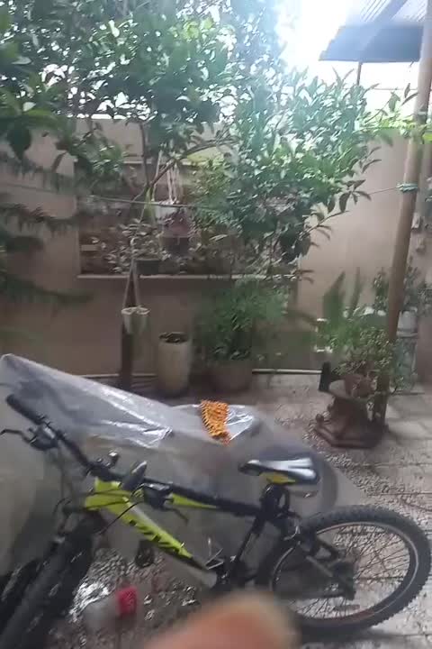 این ملک به متراژ ۲۱۷ متر مربع زیر بنا۱۲۰ متر فروشی|فروش خانه و ویلا|بندر انزلی, میان پشته|دیوار