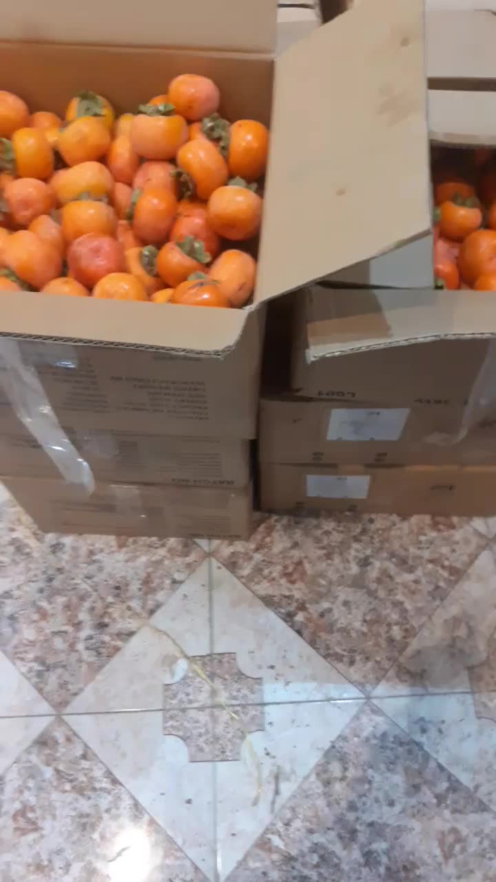 خرمالو درشت و متوسط|خوردنی و آشامیدنی|خلجستان, |دیوار