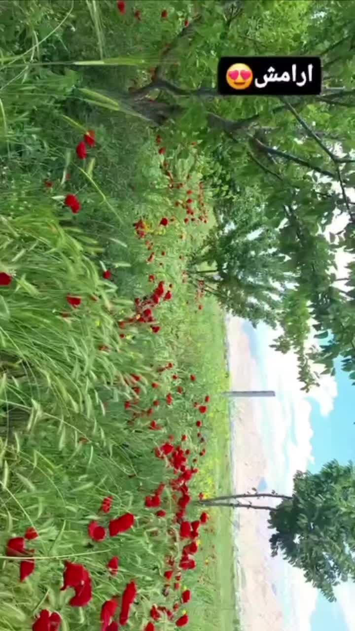 باغ و زمین نزدیک شهر و یک قعطه طرح هادی، معاوضه|فروش دفتر صنعتی، کشاورزی، تجاری|کرمانشاه, |دیوار