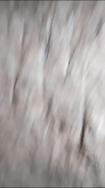 حفاری چاه عدالت|خدمات پیشه و مهارت|نجفآباد, حومه نجف آباد|دیوار