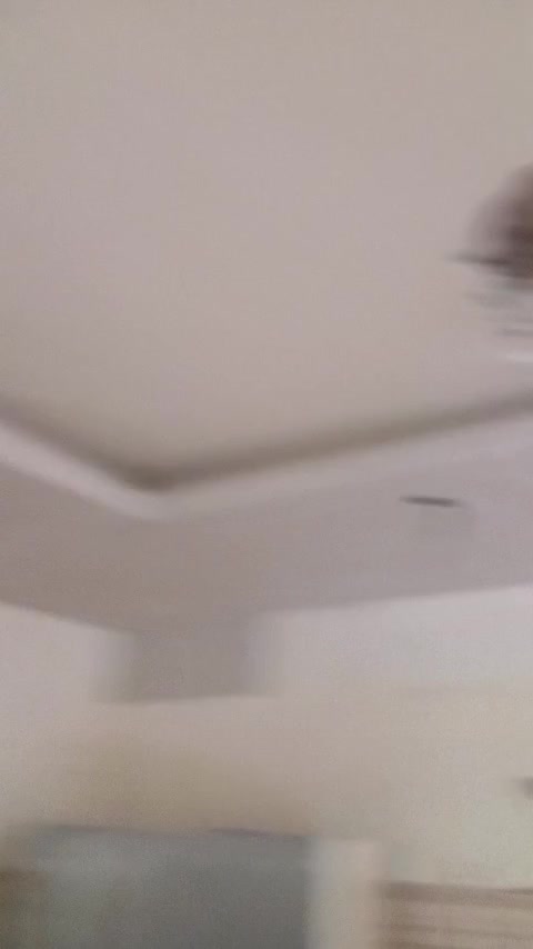 سقف کاذب نصاب کناف.پی وی سی.تایل|خدمات پیشه و مهارت|لردگان, |دیوار