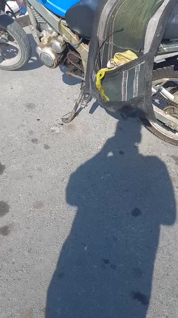 تریل نامی مدل ۹۰موتور تازه تعمیر باطنی سالم|موتورسیکلت|اصفهان, شهرک صنعتی امیرکبیر (شاپور جدید)|دیوار