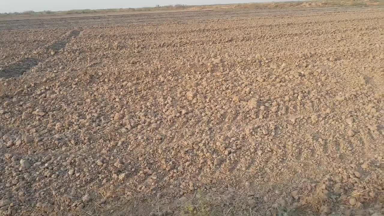 فروش ۲ هکتار مسیر گنبوعه روستایه دهلیز ۲|فروش دفتر صنعتی، کشاورزی، تجاری|حمیدیه, |دیوار