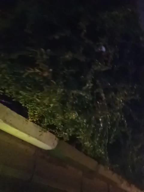 132 اسپورت|خودرو سواری و وانت|مشهد, شهرک مهر آباد|دیوار