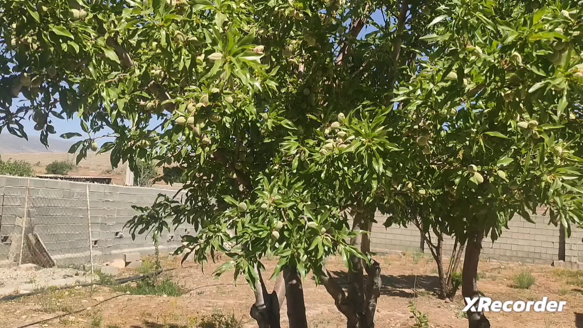 فروش باغشهر سیاخ فاز 3|فروش زمین و ملک کلنگی|شیراز, شهرک مهدیه|دیوار