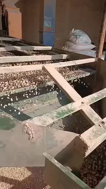 لوبیا چشم بلبلی|خوردنی و آشامیدنی|محمدشهر, محمدشهر|دیوار