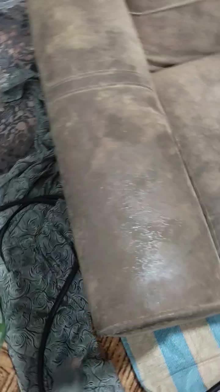 مبل شویی|خدمات نظافت|بجنورد, |دیوار