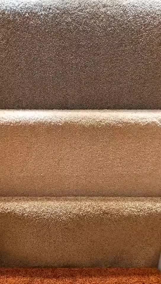 موکت ساده و طرح دار اقساط|موکت|ایلام, |دیوار