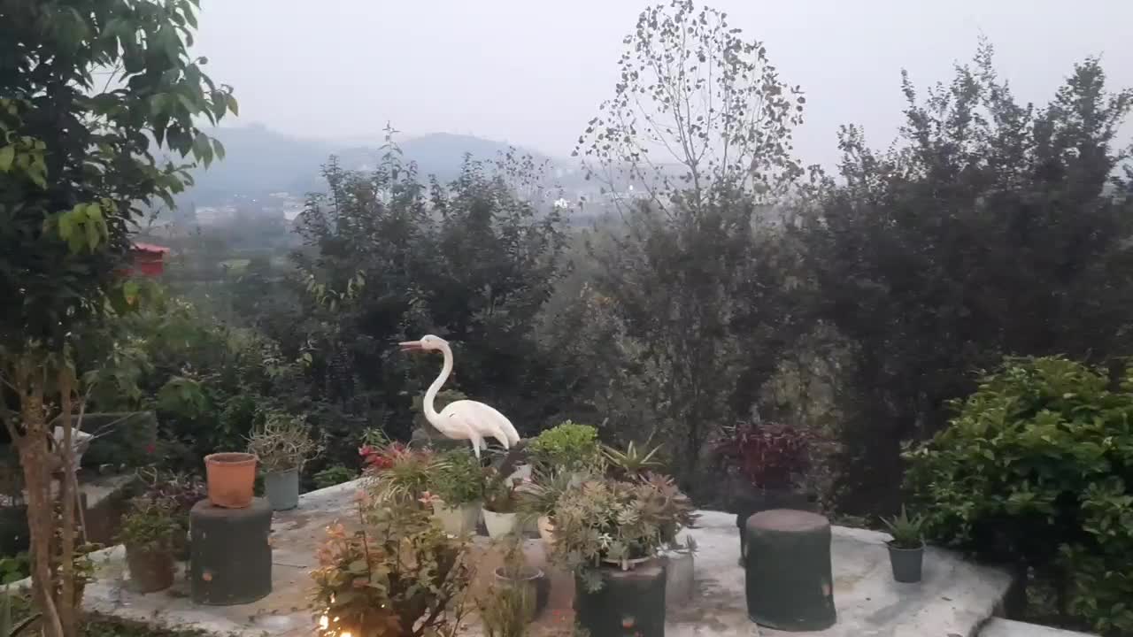 باغ ویلای جنگلی خوش منظره|اجارهٔ کوتاه‌مدت ویلا و باغ|اطاقور, |دیوار