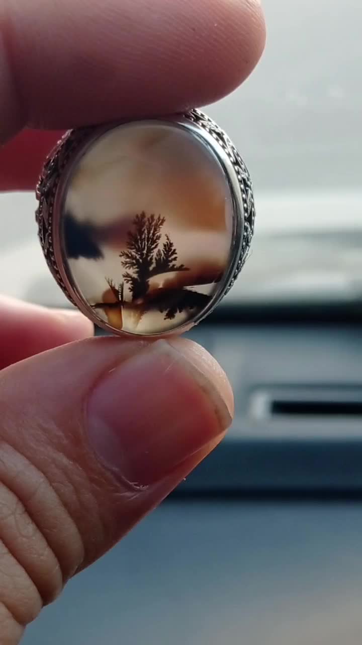 شجر کلکسیونی|جواهرات|تهران, جوادیه|دیوار