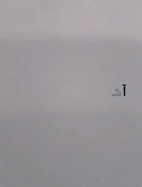 فروش دستمال کاغذی اقتصادی|مواد شوینده و دستمال کاغذی|تهران, سازمان برنامه شمالی|دیوار