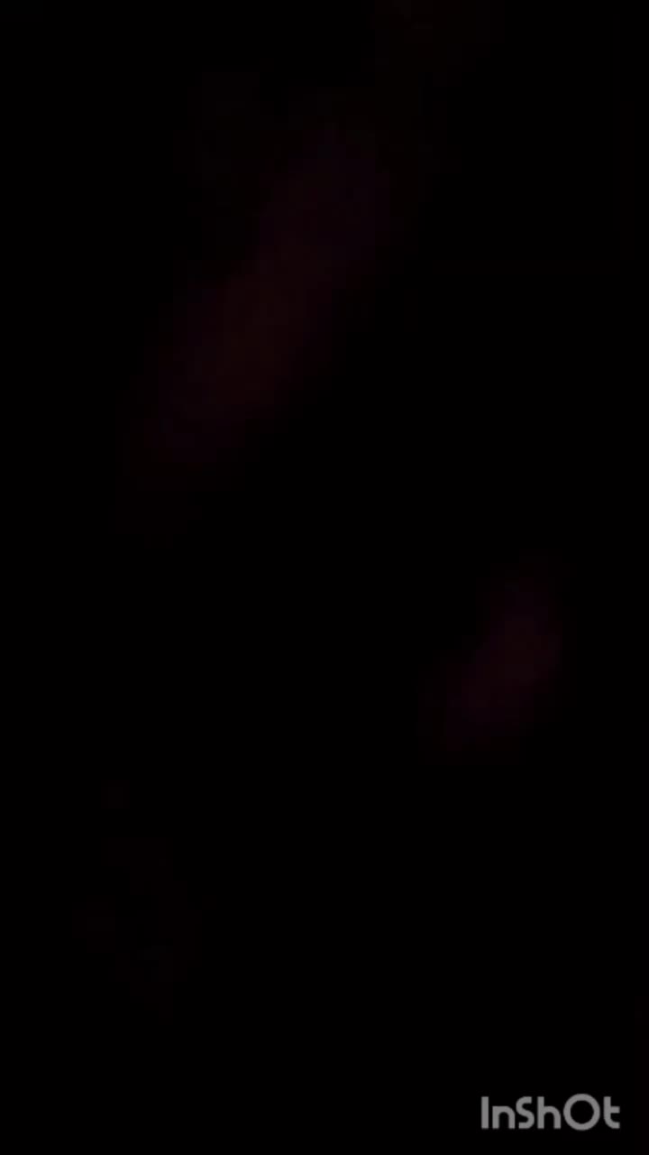 گل جاویدان ربانی|گل مصنوعی|مشهد, شیرودی|دیوار