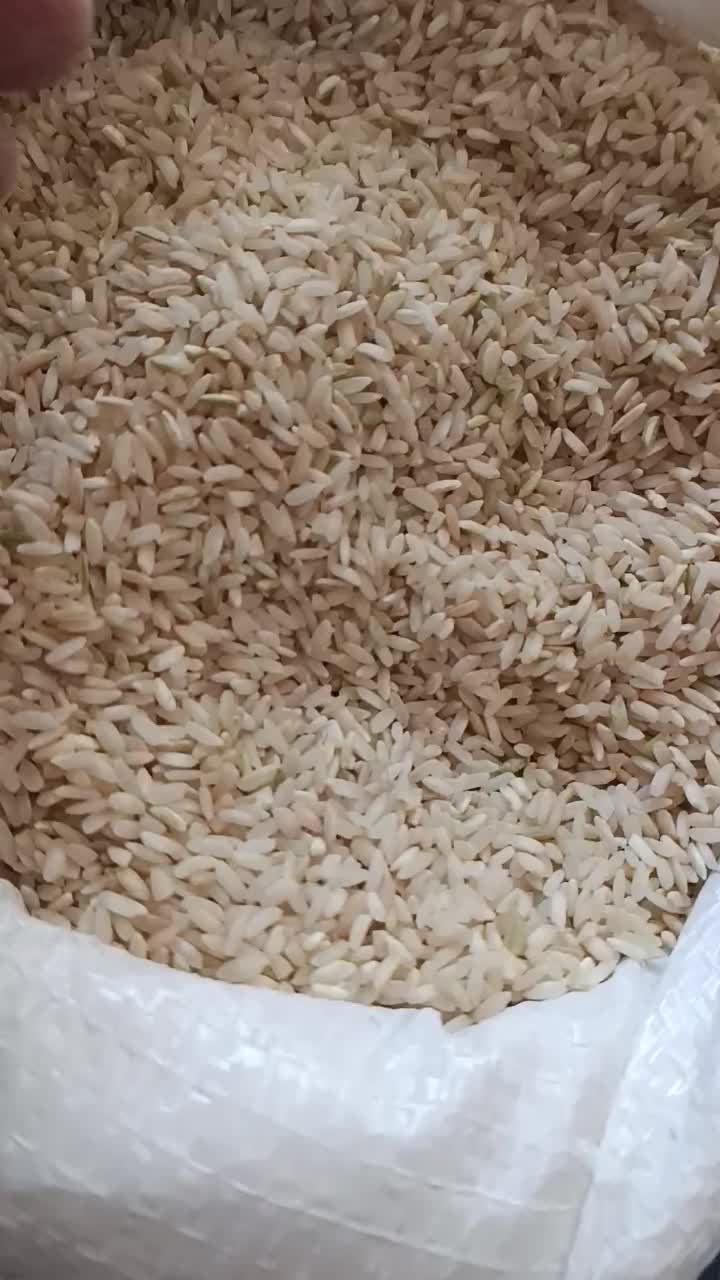 برنج چمپا محلی عنبربو|خوردنی و آشامیدنی|دهدشت, |دیوار